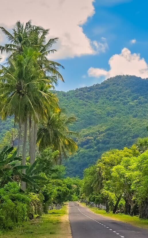 land for sale sumbawa road mountain nature